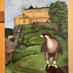 Feinste-Fotos_Falke 0861