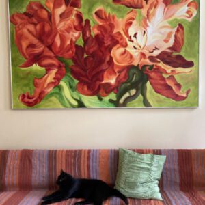 Feinste-Fotos_Tulpen_7483